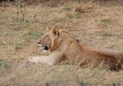 Whatsapp Image 2025 04 01 At 1.23.36 Pm