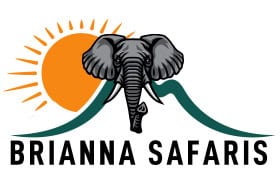 Brianna Safaris