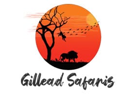 Gillead Safaris