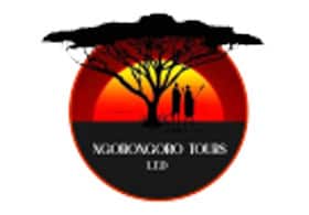 Ngorongoro Tours