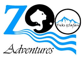 Zoo Adventures