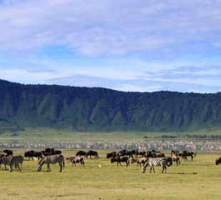 4-Day Tarangire, Ngorongoro & Kilimanjaro Safari