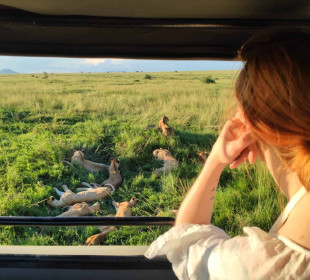 7-Day Wildebeest Migration Mara River Crossing