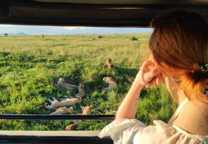7-Day Wildebeest Migration Mara River Crossing