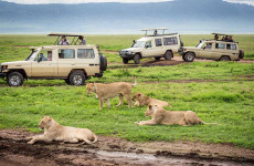 8-Day Explore the Northern Circuit (Midrange)