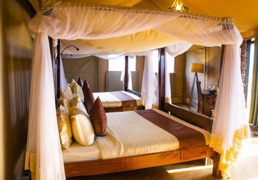 Serengeti Safari Lodge17