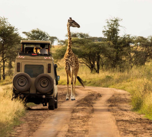 4-Day Luxury Serengeti Safari from Zanzibar