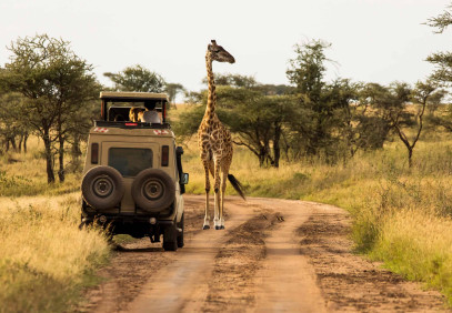 4-Day Luxury Serengeti Safari from Zanzibar