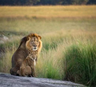 7-Day Multi-Dimensional Mid Range Safari