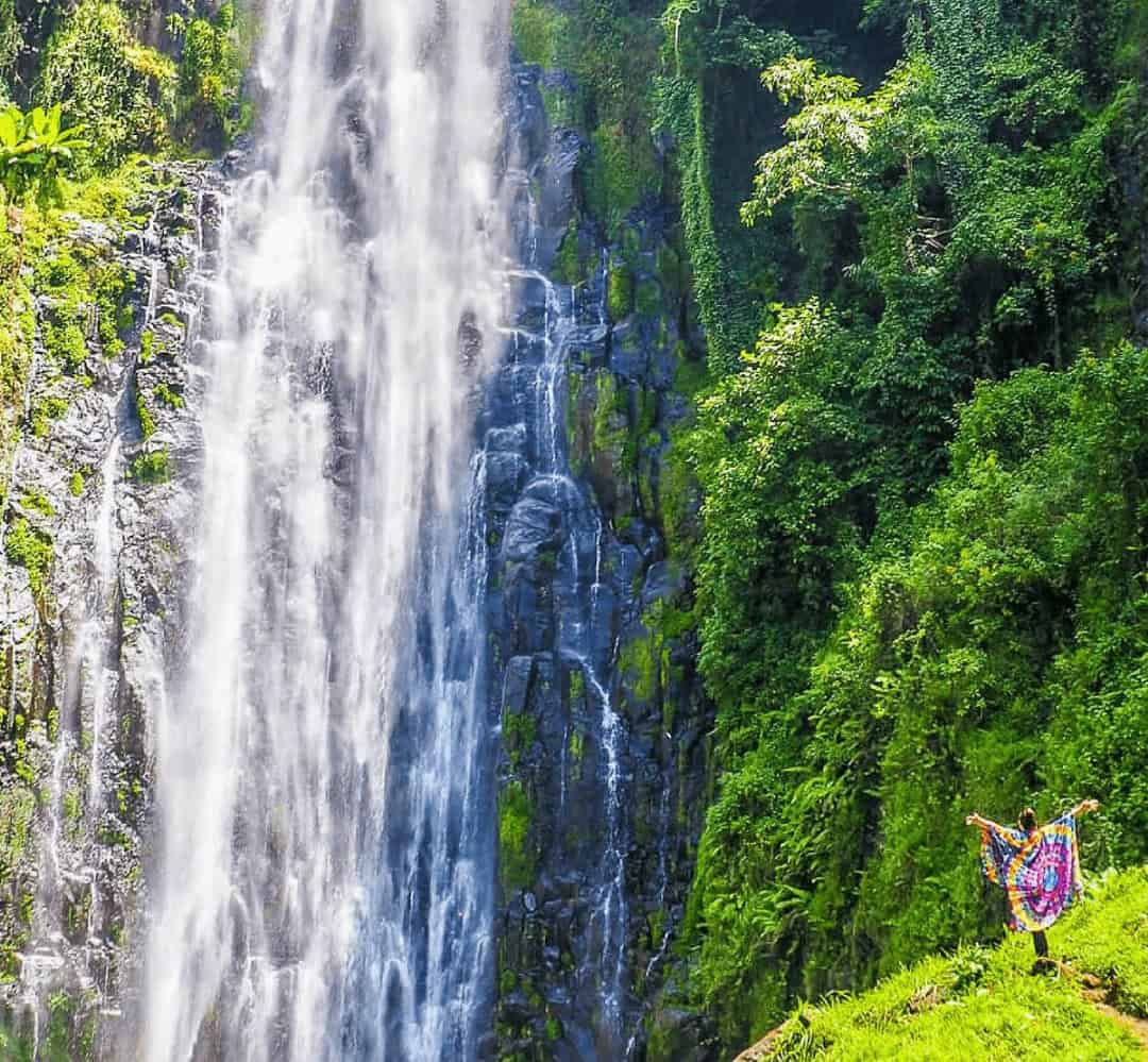 1-Day Materuni Waterfalls, Coffee & Hot Springs