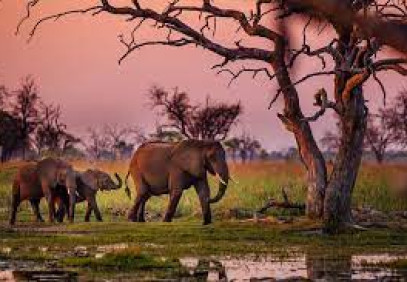 18 Days Adventure Safari in Namibia, Botswana & Vic Falls