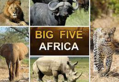 11 Days Namibia Wildlife Safari & Chobe National Park