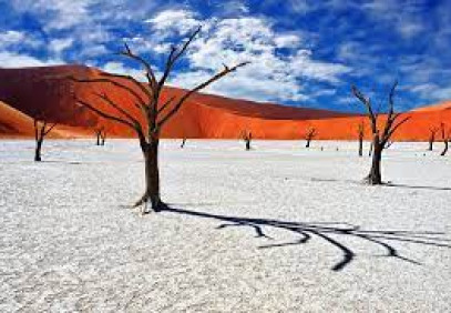 6 Days Etosha, Swakopmund & Sossusvlei