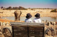 3 Days Etosha Lodge Safari