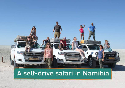 A self-drive safari in Namibia