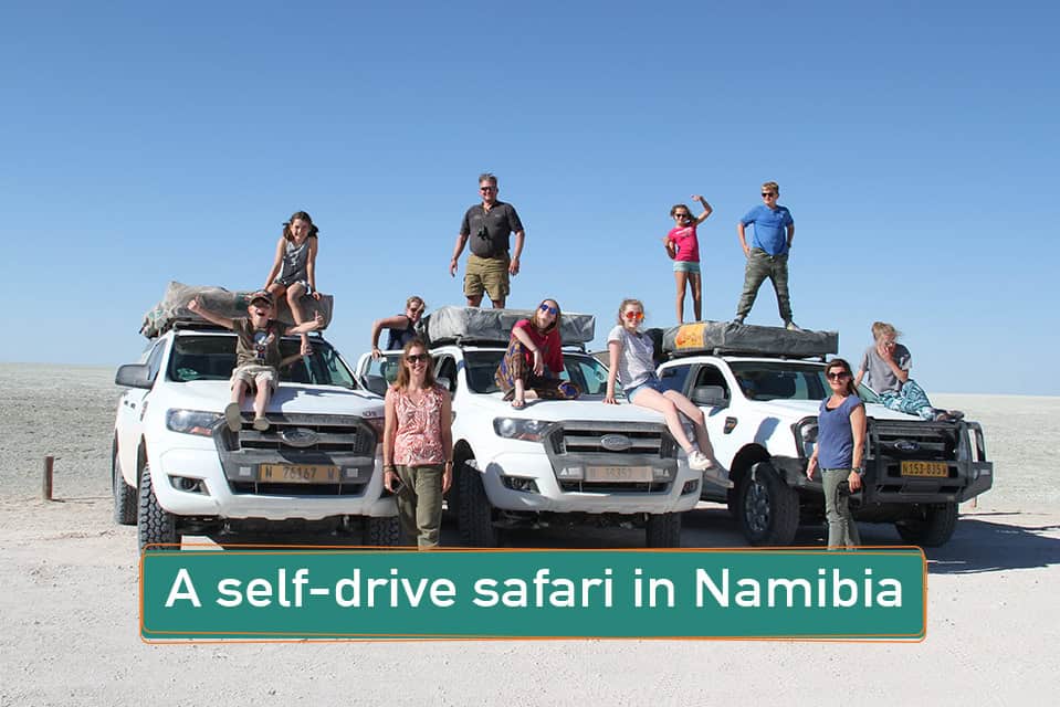 A self-drive safari in Namibia