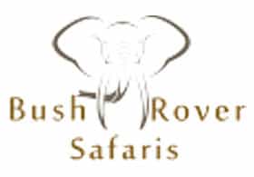 Bush Rover Safaris