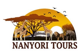 Nanyori Tours