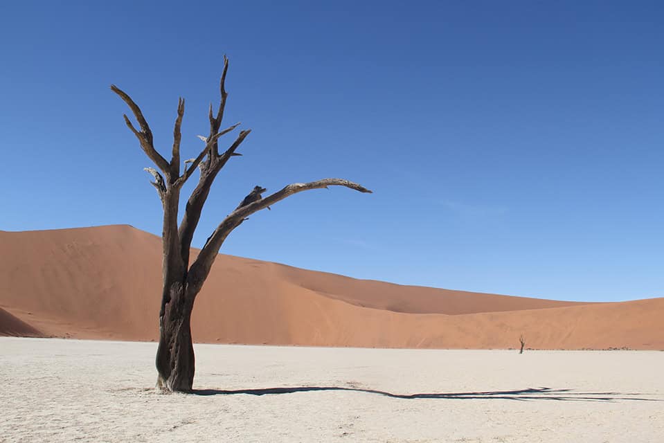 Safari Deal Self Drive Safari In Namibia 5268