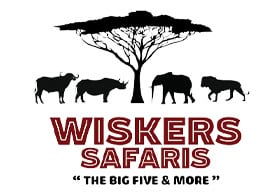 Wiskers Safaris