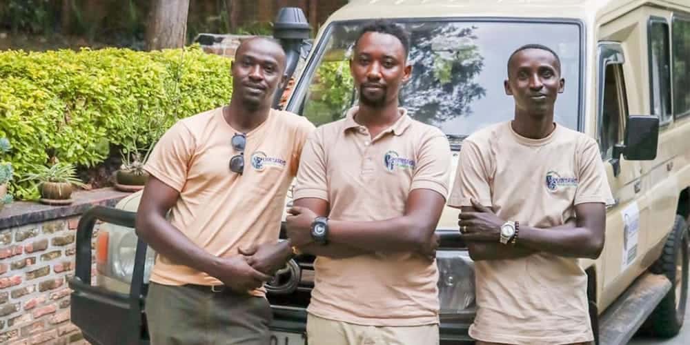 Lion Safaris