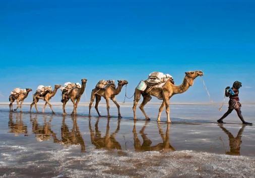Armaye Ethiopia Tours Danakil Depression