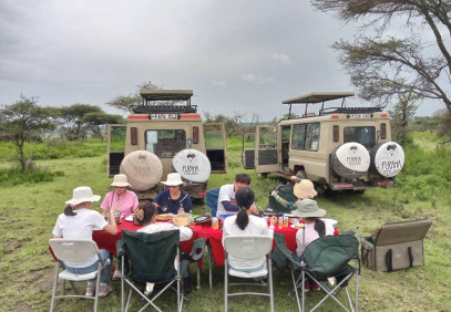 4 Days Classic Tanzania Safari