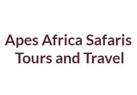 Apes Africa Safaris Tours and Travel