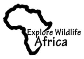 Explore Wildlife Africa