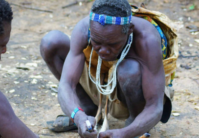 8-Day Diverse Journey of Wildlife Culture & Exploration