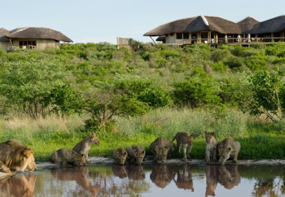 14-Day Botswana, South Africa and Victoria Falls Safari