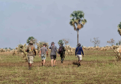 4 Days Walking Safari in Murchison Falls, Uganda