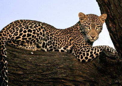 11-Day Tanzania Lake Hopping Safari