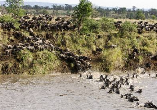 Northern Serengeti National Park 003
