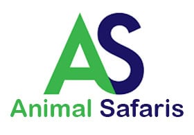 Animal Safaris
