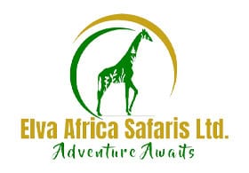Elva Africa Safaris
