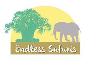 Endless Safaris