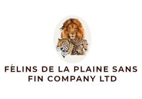 Felins De La Plaine Sans Fin