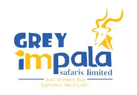 Grey Impala Safaris