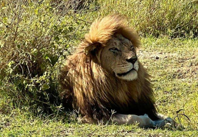 2 Days Tarangire & Ngorongoro Crater from/to Zanzibar