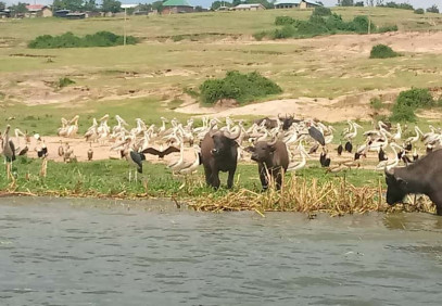 15 Days Inspiring Uganda Safari