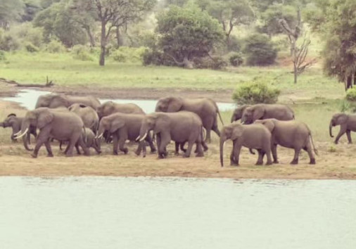 436924699 831251365710834 5086481192437493852 N