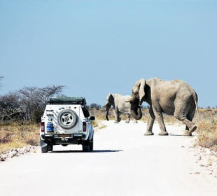 11-Day Namibia Highlights Self-Drive Safari