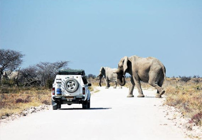 11-Day Namibia Highlights Self-Drive Safari