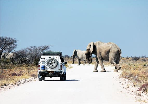 11-Day Namibia Highlights Self-Drive Safari