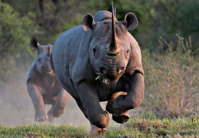 18 Day Private South Africa, Swaziland, Lesotho & Mozambique