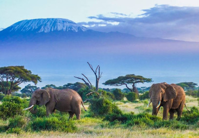 3-Day Amboseli National Park Safari