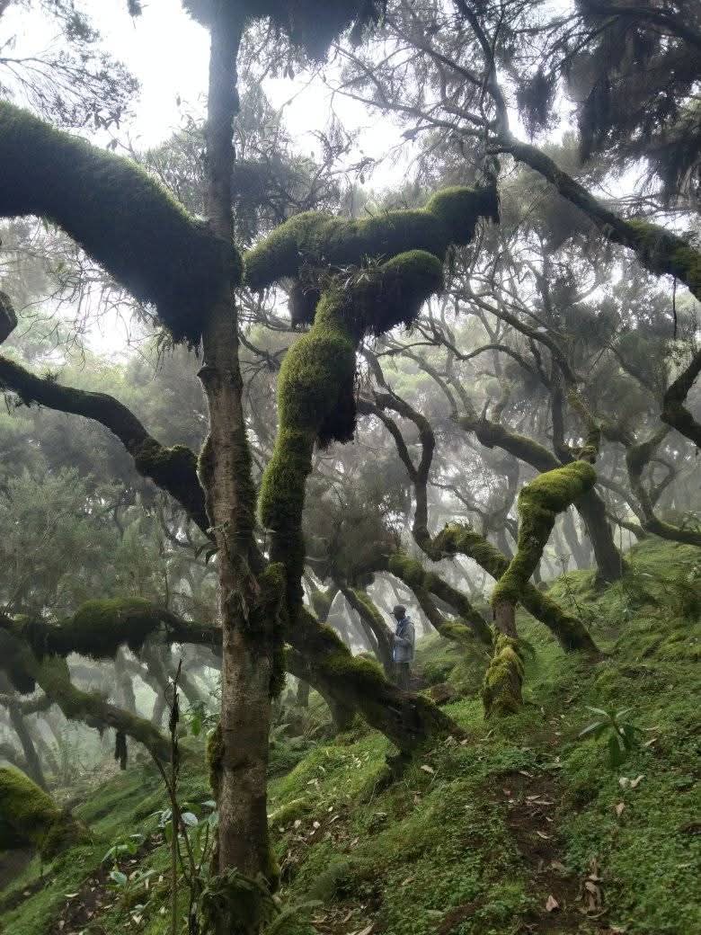 Fb Img 1750781671799