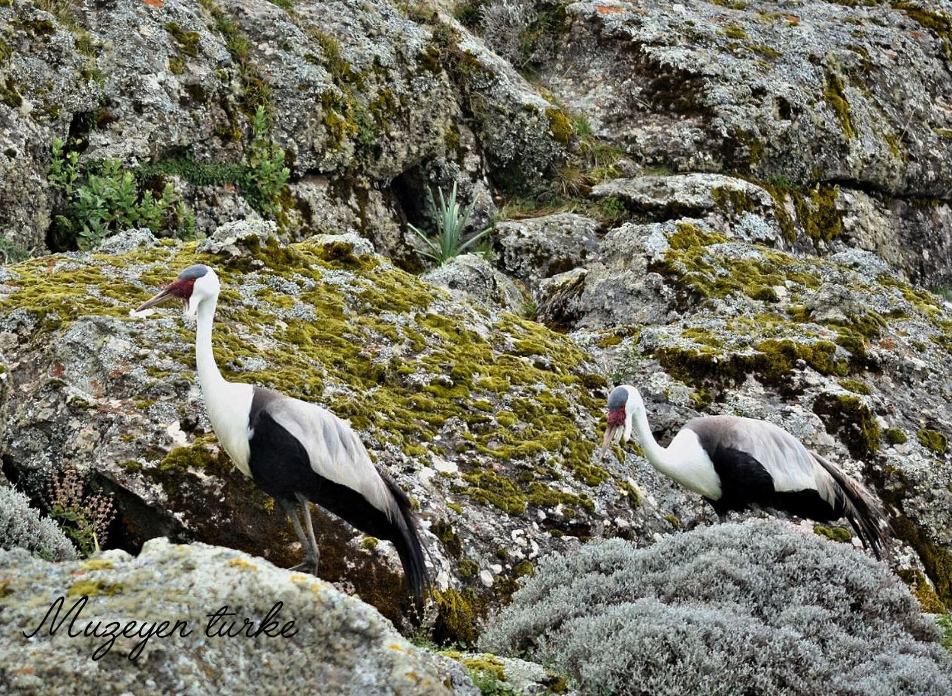 Fb Img 1756576059309