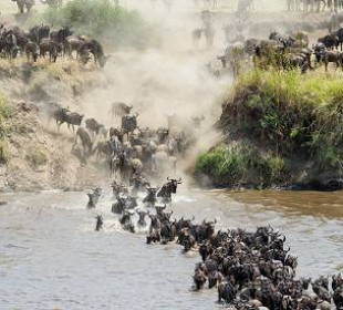 3-Day Fly-in Sleeping with Lions Safari in Serengeti